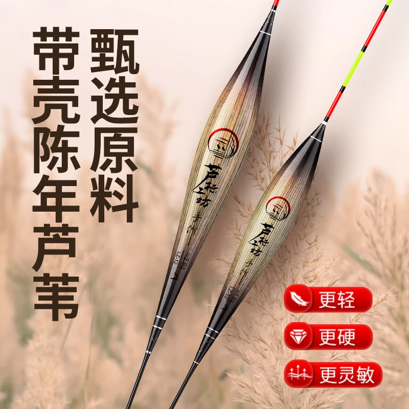 春钓鲫鱼带壳老芦苇浮漂LZ加粗醒目细尾黑坑野钓鲫鱼鲤鱼草鱼鱼
