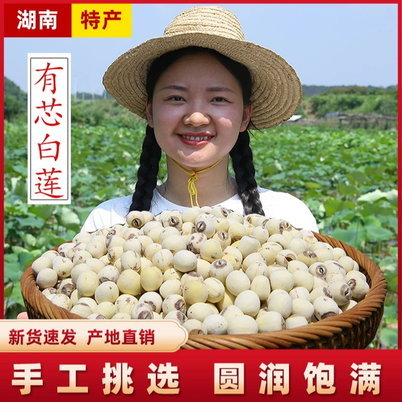 【有芯白莲500g】湖南农家高品质煮粥煲汤营养粉糯原生态产品特产