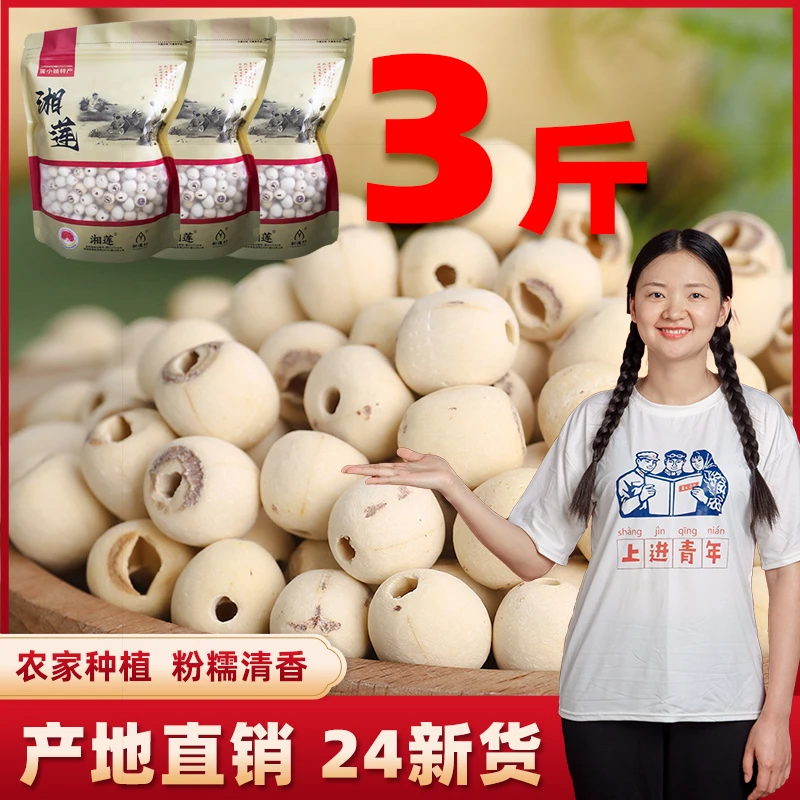 【3斤精品去芯白莲】 湖南湘潭农家磨皮白莲红皮莲 精选粉糯新货