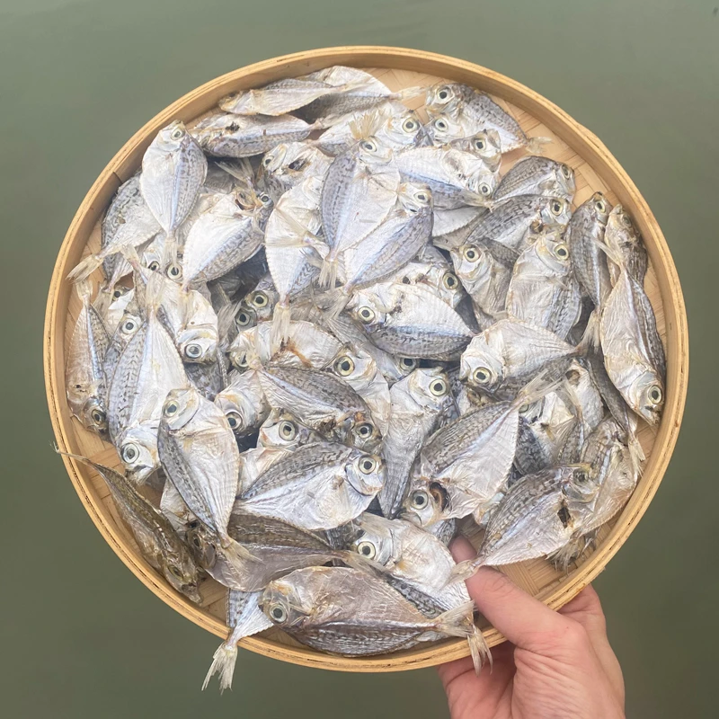 汕尾本港九梗鱼脯海产干货咸金钱花脯斜撕吃法潮汕特产双11双十一