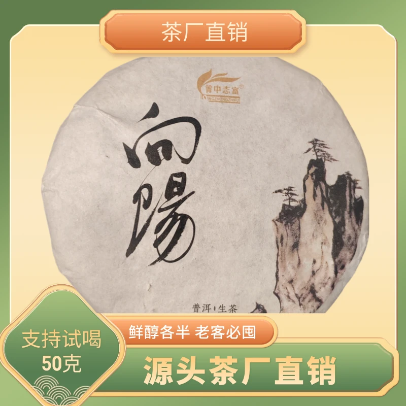 云南古树普洱向阳熟茶