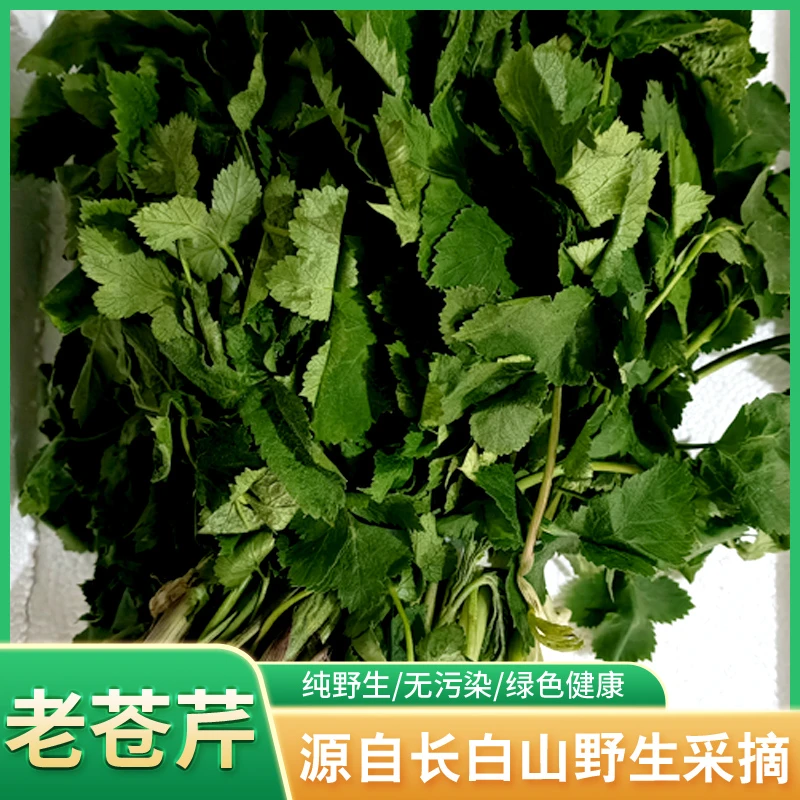 山野菜 大叶芹 ,胡萝卜蒿,山靡子,黑瞎芹 长白山野生 1斤起邮