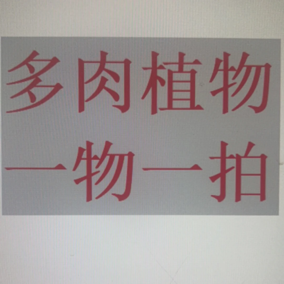 多肉植物一物一拍链接2