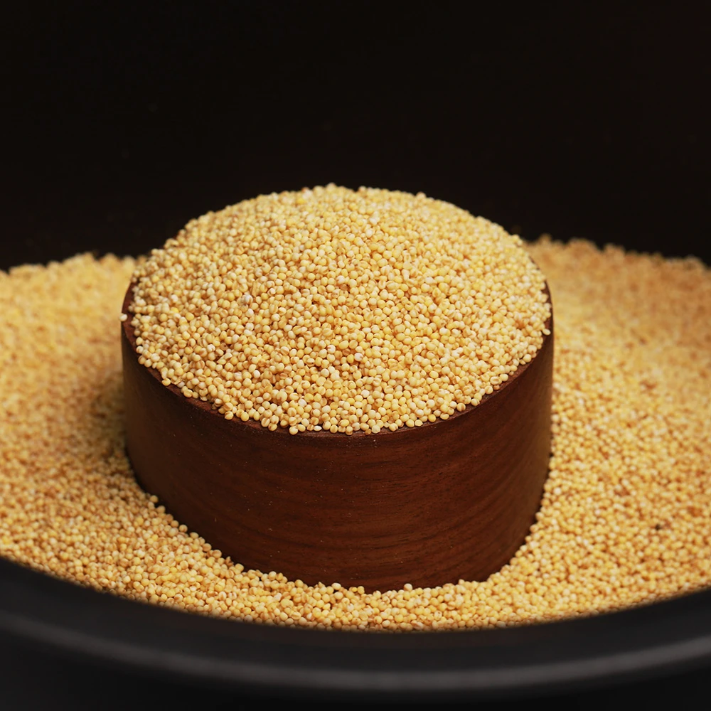 村姑阿香2024年新糯小米贵州高山老品种黏黄米新米五谷杂粮粗粮