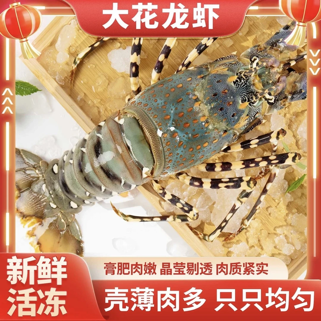 冷冻花龙 1.4-1.6斤/只鲜活速冻龙虾+鲍鱼产地冷链直发 坏单包赔