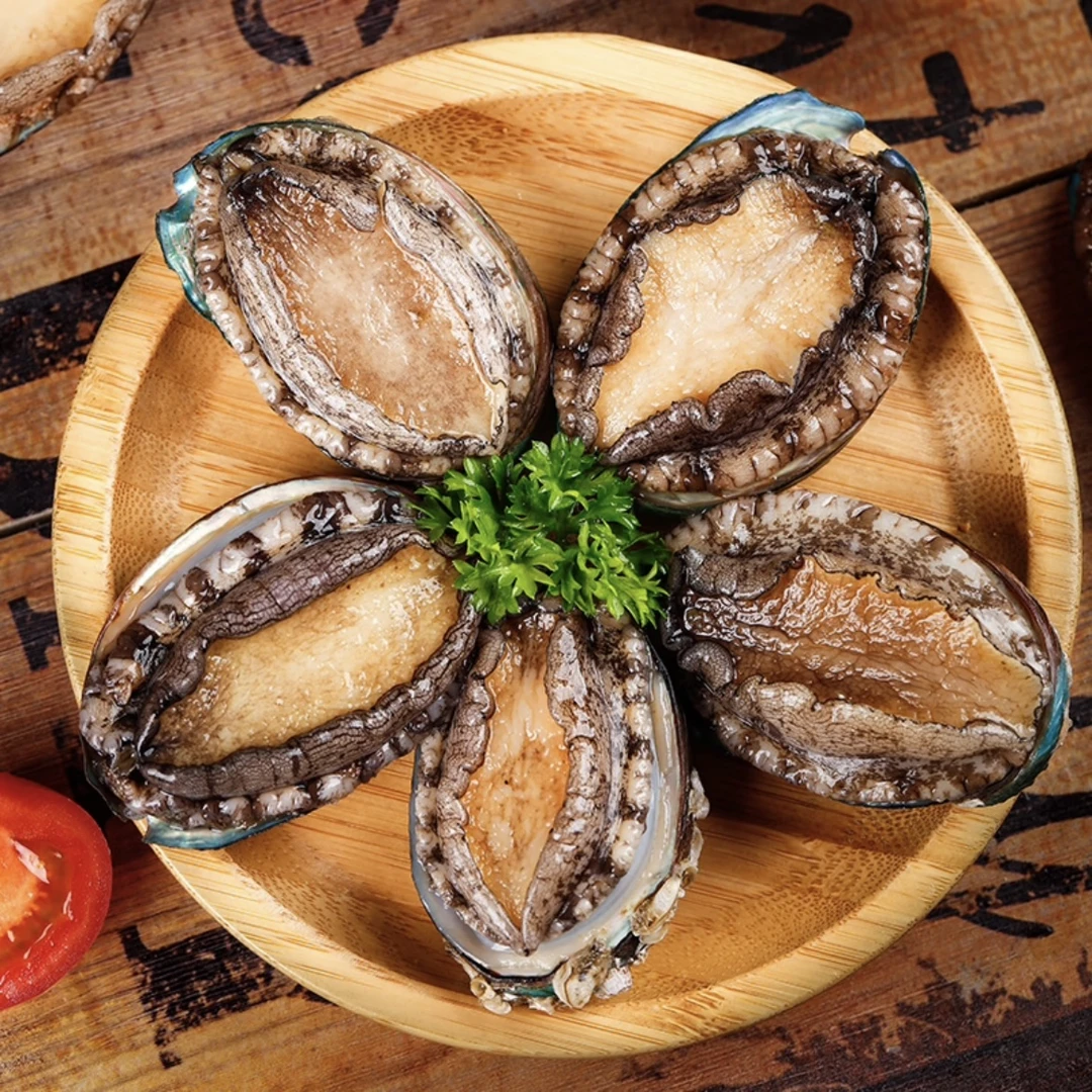 福建东山岛活冻鲍鱼5-6头鲍7-7.5cm海鲜水产速冻大鲍鱼鲜嫩营养
