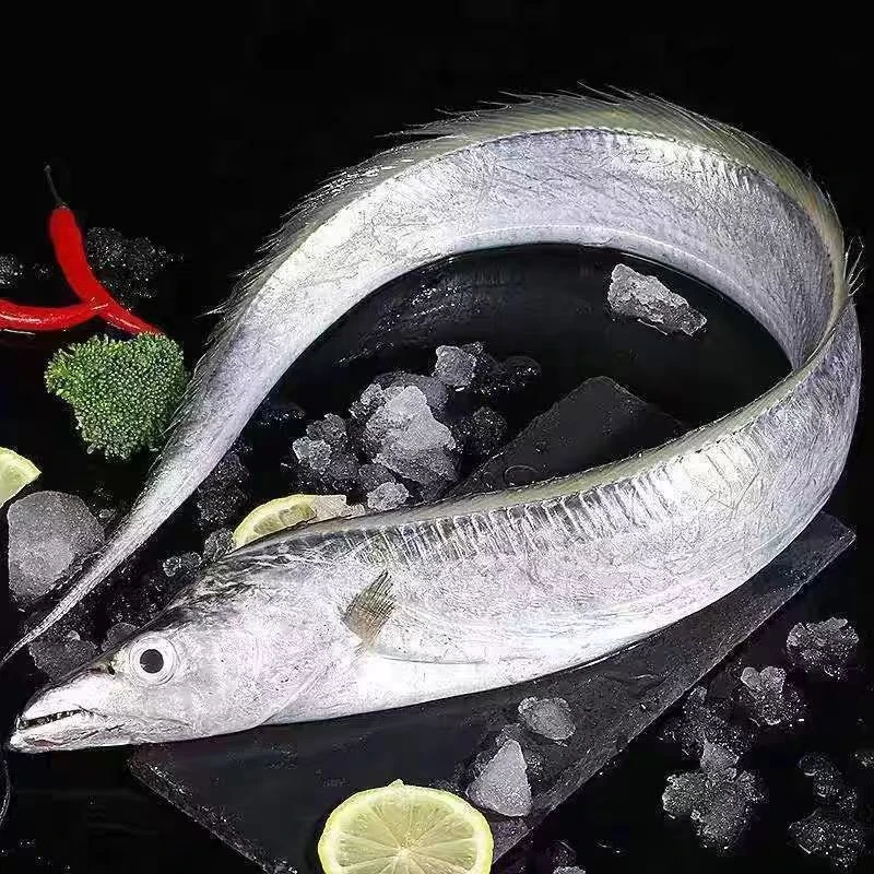 新鲜海钓小眼油带鱼