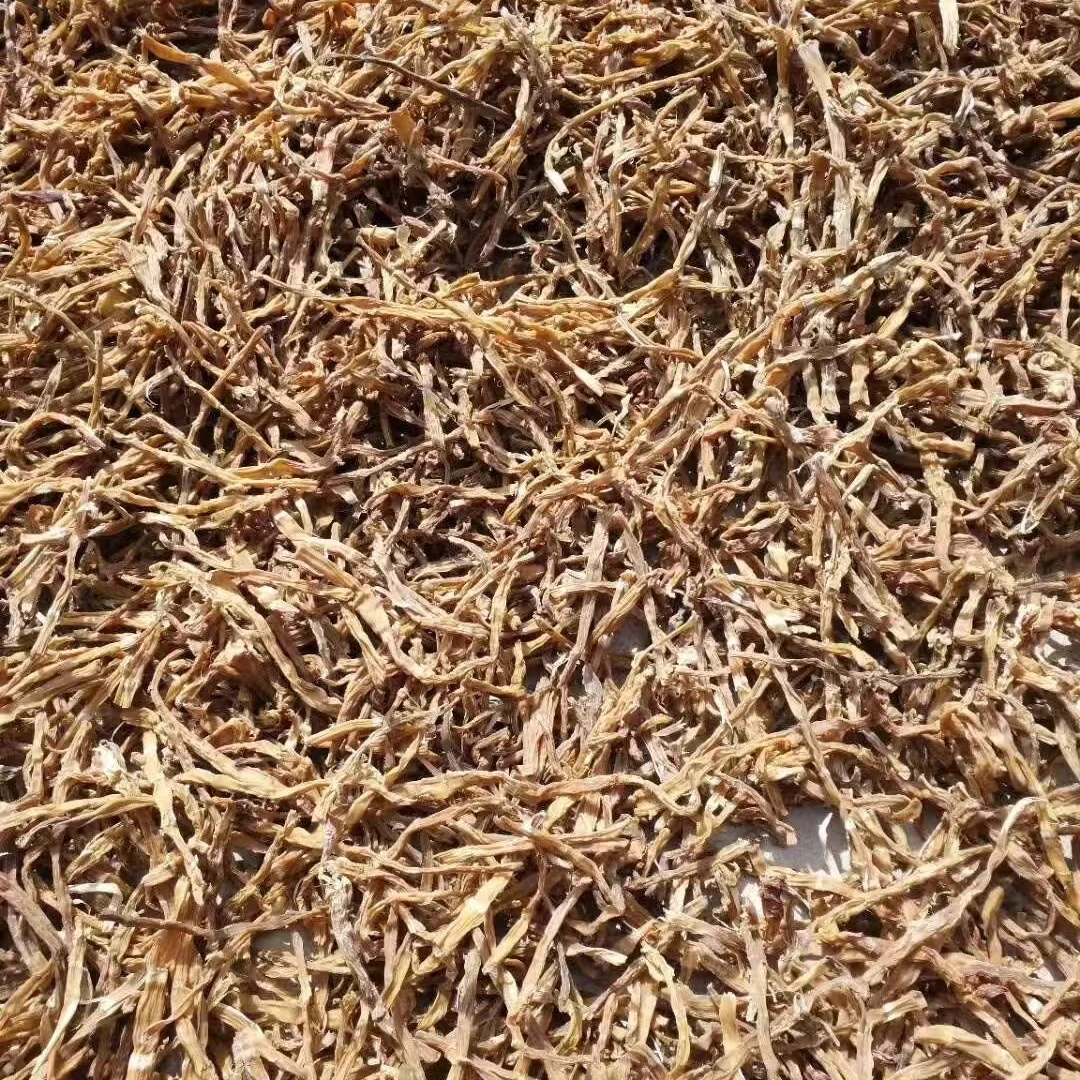 大巴山南江高山木竹笋