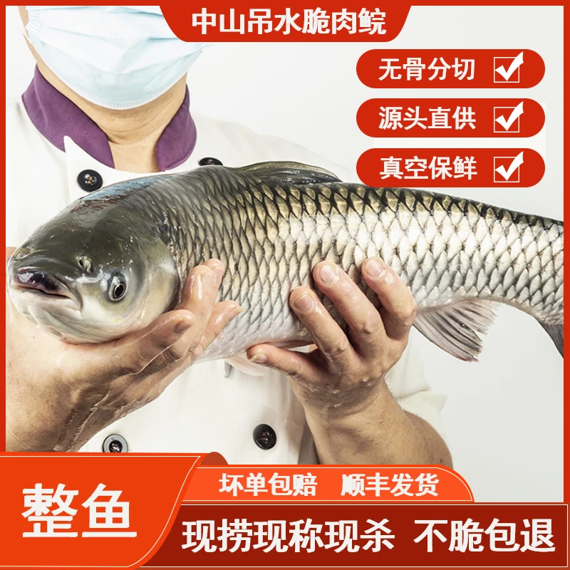 半脆中山东升脆肉鲩鱼无骨鱼脆鲩鱼好吃保鲜顺丰包邮