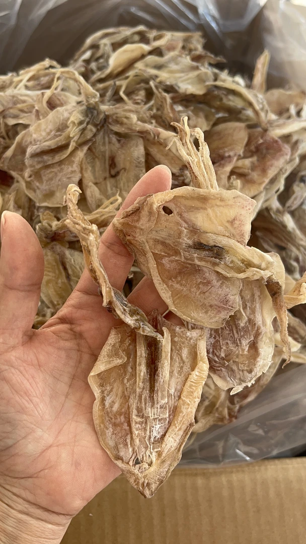 船三鱿 汕尾海味产品特产莲子