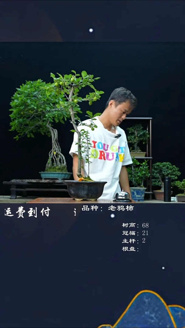 【闪购商品】11804