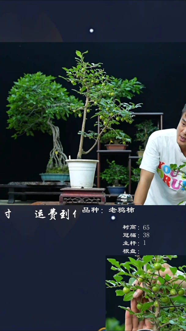【闪购商品】113443