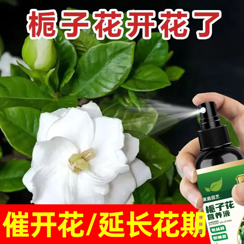 栀子花营养液黄叶枯叶掉苞不开花生长缓慢促发芽专用肥免稀释喷雾