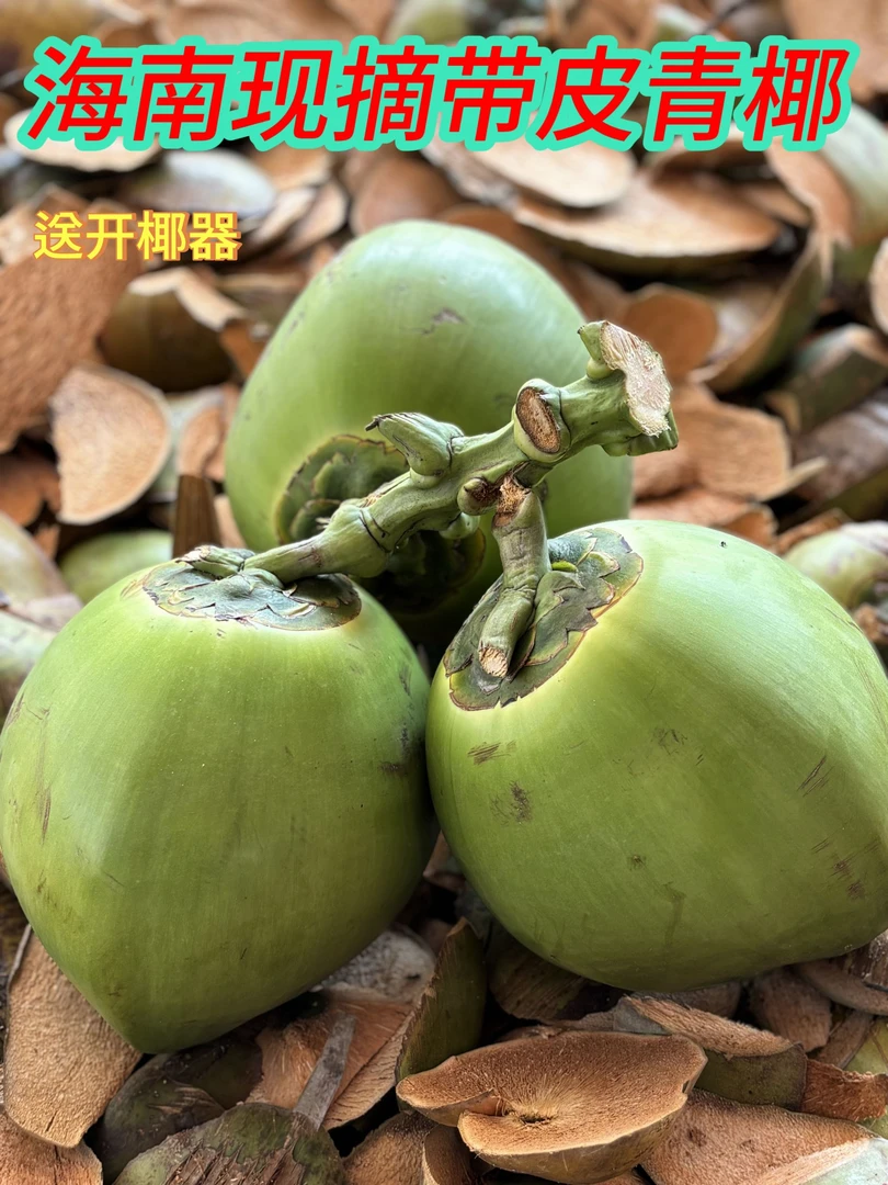 海南热带营养皮椰子新鲜孕妇水果椰汁椰甘甜清凉清甜炖鸡去皮重量