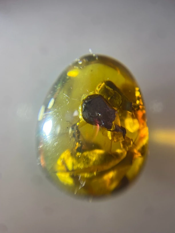 天然缅甸琥珀飞蚁