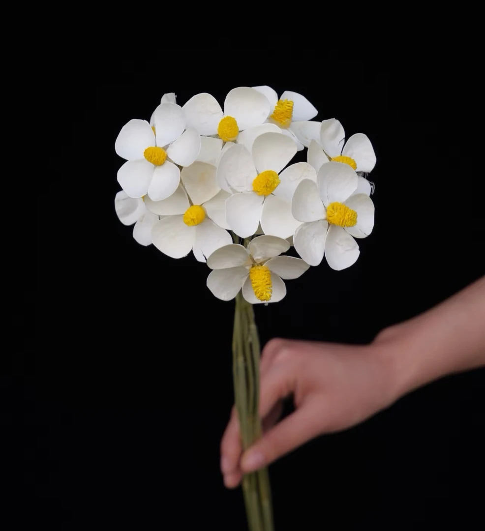 紫罗兰干花花束永生花10扎白色