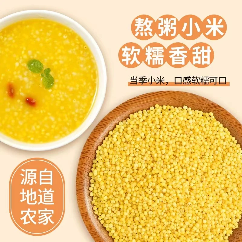2024年新米农家五谷黄小米杂粮养胃小米粥小黄米5斤