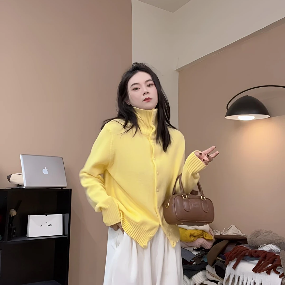 秋冬新款立领毛衣针织衫女纯欲气质设计显瘦长袖内搭开衫上衣6622