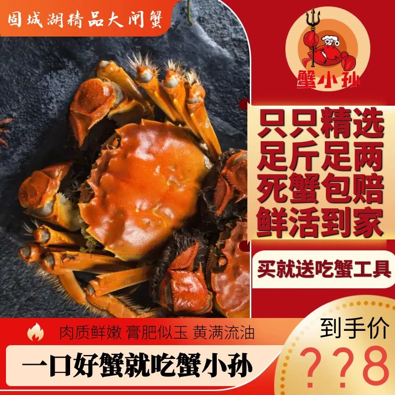 【固城湖活蟹】精品2.3-2.6两母蟹八只装