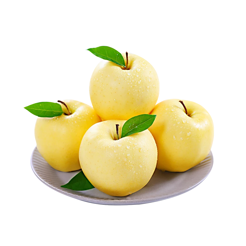 【脆甜多汁】大连黄元帅苹果2.8-8.5斤黄金帅粉面苹果新鲜当季水果