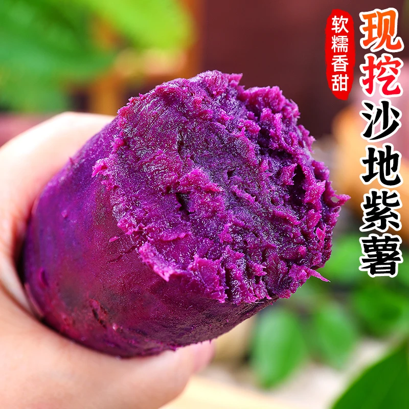 【粉糯香甜】沙地紫薯3-9斤新鲜番薯地瓜蜜薯小紫薯红蜜薯红薯蔬菜