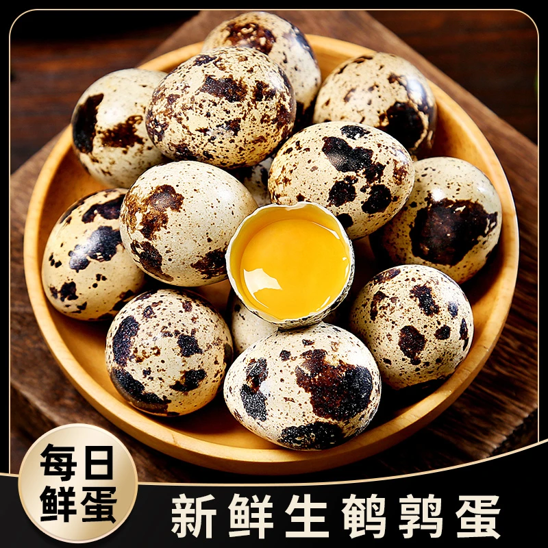 【每日鲜蛋】新鲜生鹌鹑蛋50/100枚农家散养鹑鸟蛋宝宝辅食现捡现发