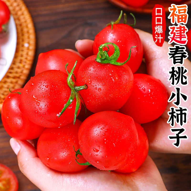 【酸甜爆汁】福建春桃小柿子3/5斤圣女果西红柿樱桃小番茄新鲜蔬菜