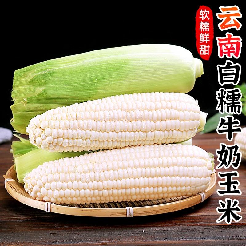 【香甜软糯】云南白糯牛奶玉米2-9斤苞谷水果玉米棒子嫩玉米蔬菜
