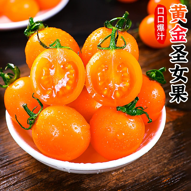 【酸甜可口】黄金圣女果1-5斤樱桃小番茄迷你西红柿新鲜应季蔬菜