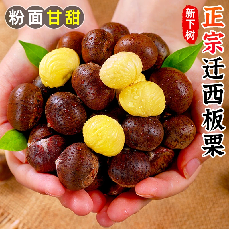 【粉面甘甜】正宗迁西板栗2-5斤毛栗子生板栗嫩板栗板栗仁带壳锥栗