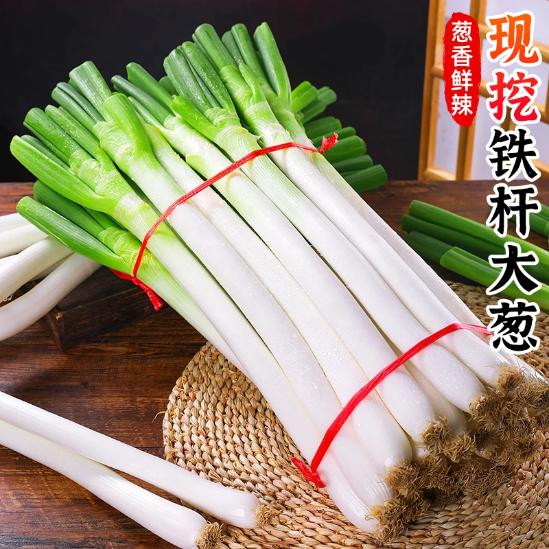 【葱香鲜辣】现挖铁杆大葱1-9斤山东大葱长葱头毛葱非章丘葱蔬菜