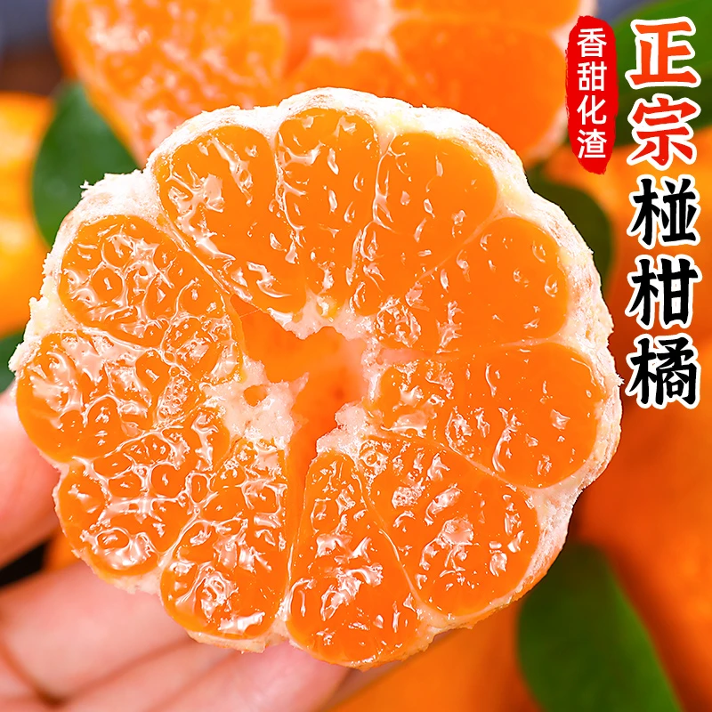 【香甜多汁】正宗椪柑橘2-9斤橘子新鲜应季水果芦柑桔子蜜桔皮薄