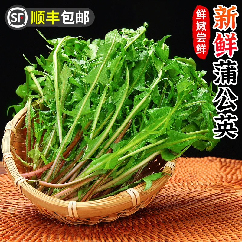 【顺丰包邮】新鲜蒲公英1-4斤婆婆丁山菜凉拌苦菜现摘地丁鲜美蔬菜