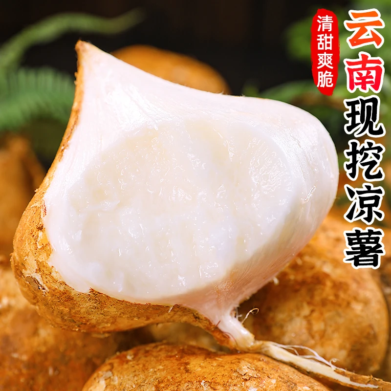 【清甜脆爽】云南现挖凉薯1-9斤白凉薯白地瓜小番薯葛根薯蔬菜皮薄