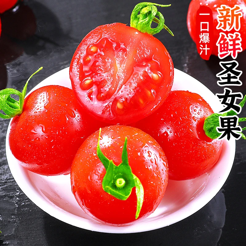 【酸甜可口】新鲜圣女果2-5斤水果西红柿子小番茄蔬菜千禧小番茄