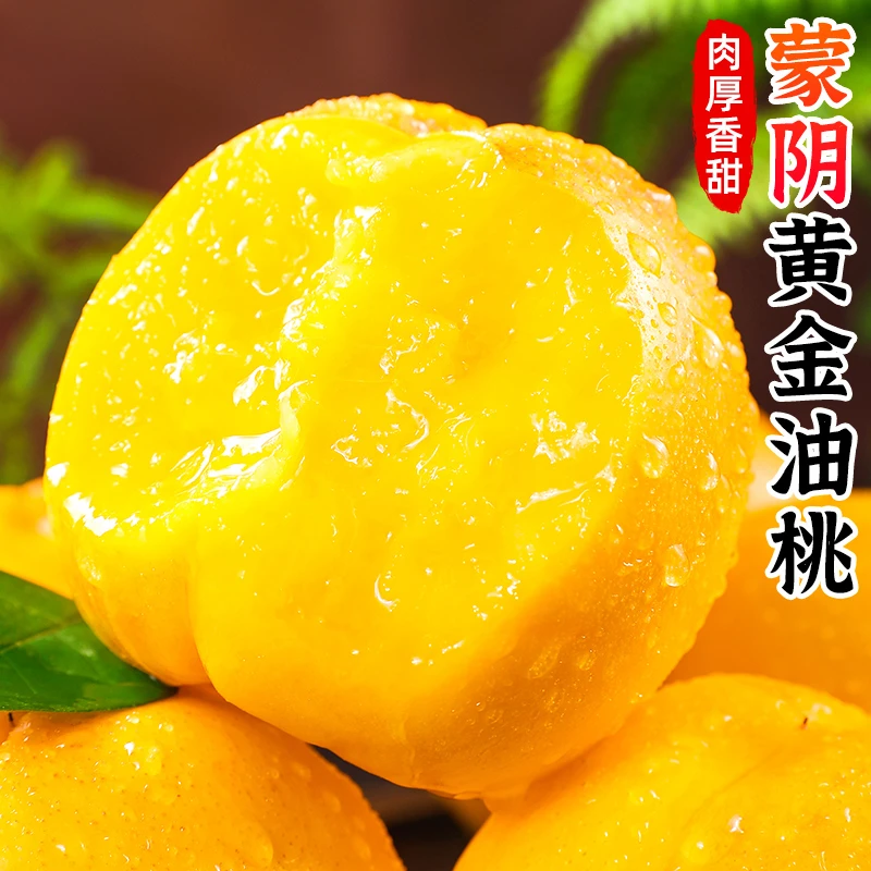 【肉厚香甜】蒙阴黄金油桃2/3斤新鲜水蜜桃脆甜放软爆汁桃子水果