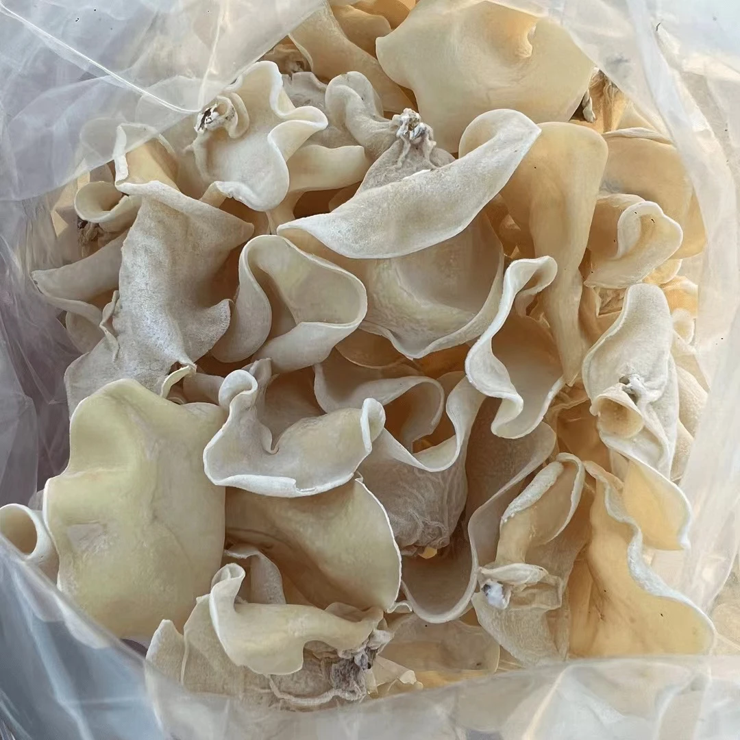 H东北白玉木耳鲜嫩薄脆