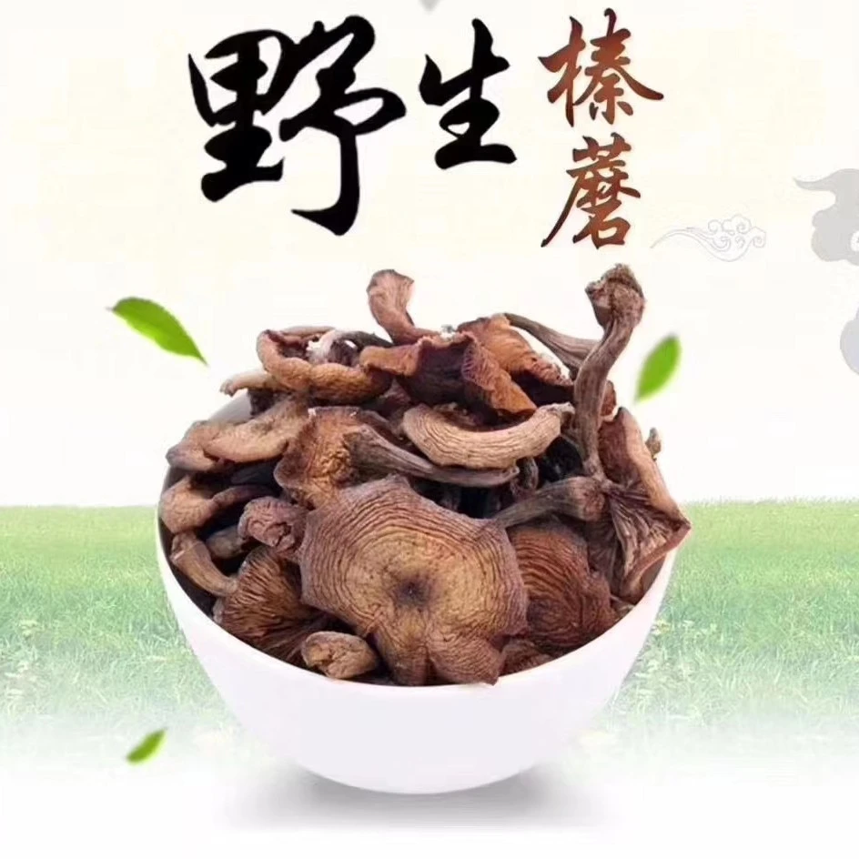 东北榛蘑2023年长白山野生干榛蘑 250g/500g 精选包邮