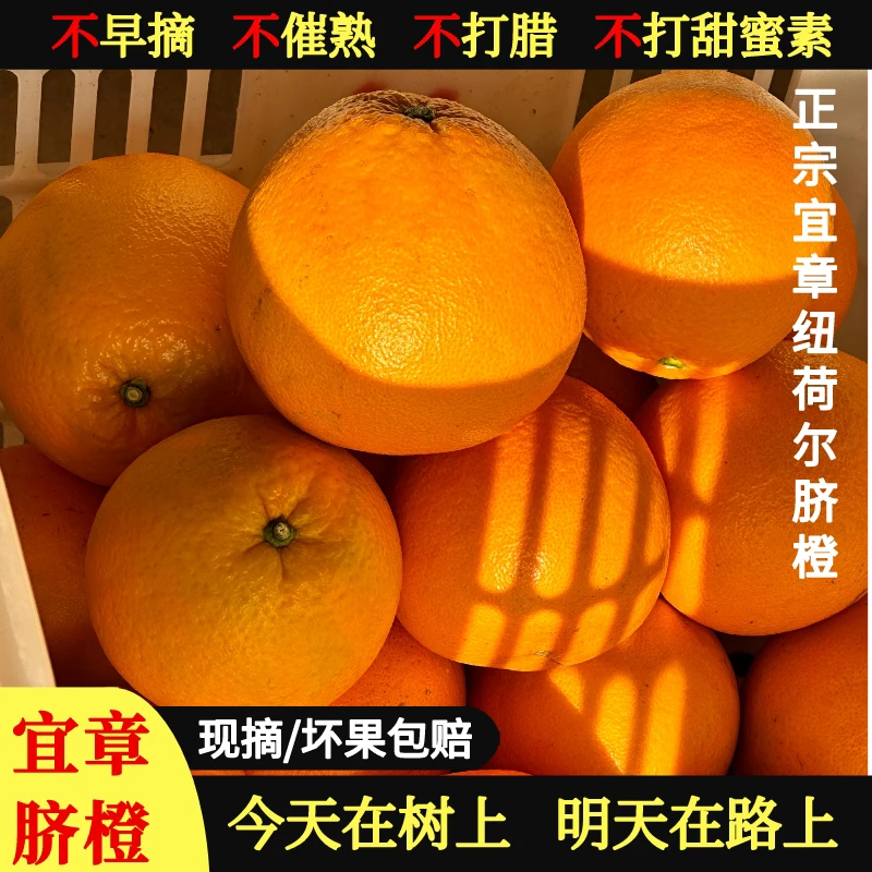 20斤精品大果鲜嫩多汁宜章脐橙橙子皮薄升级套袋新鲜水果天然种植