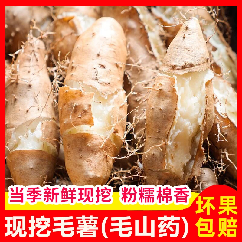 正宗新鲜毛薯茂名白心田薯粉糯山药现挖甜薯火苕脚板薯3-5斤