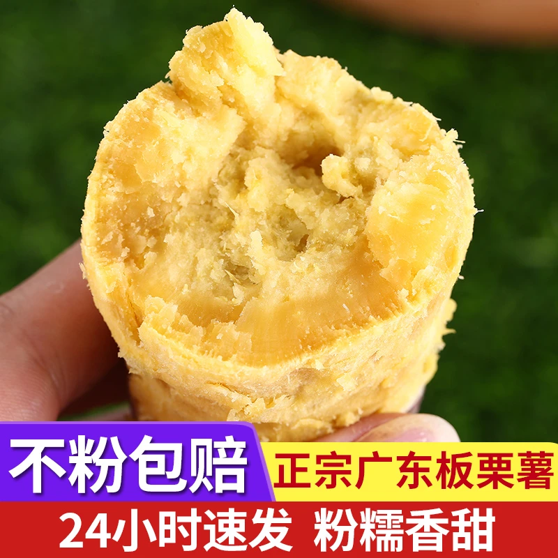 正宗板栗红薯新鲜现挖5斤广东栗子王番薯农家自种黄心鸡蛋黄地瓜