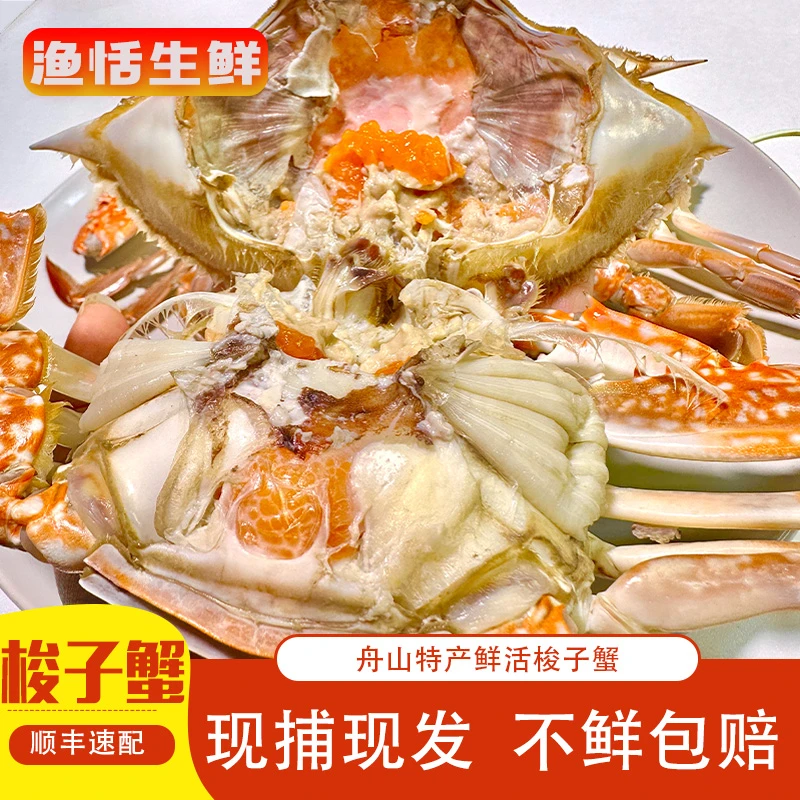 浙江宁波象山海鲜 螃蟹红膏母梭子蟹 1000g