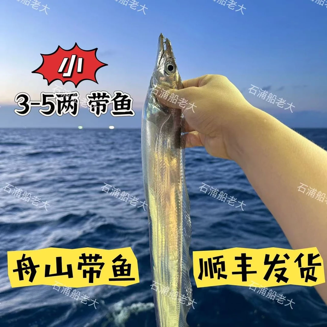 【冬至款】东海宁波舟山海鲜海钓带鱼 肉厚鲜嫩1500g