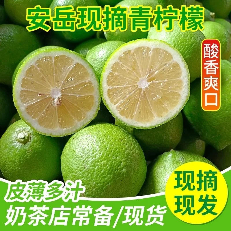 安岳青柠檬20个  独立包装香水青皮果园种植现采摘发货单果50-90g