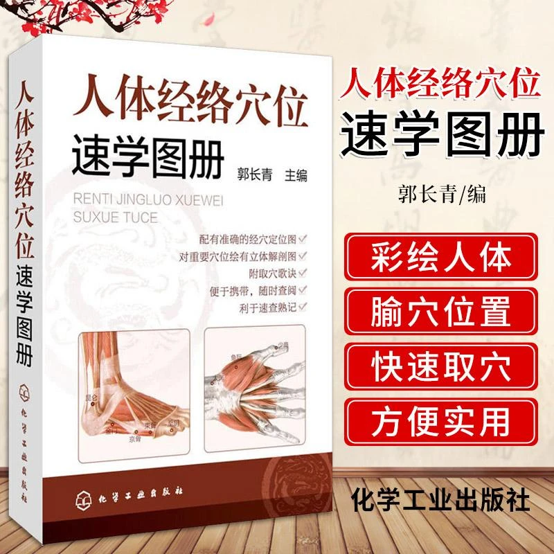 人体经络穴位速学图册 郭长青 主编 化学工业出版社 978712224177