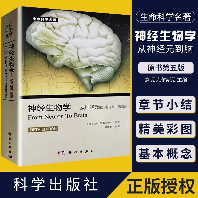 神经生物学从神经元到脑 原书第五版 神经系统的发育与再生