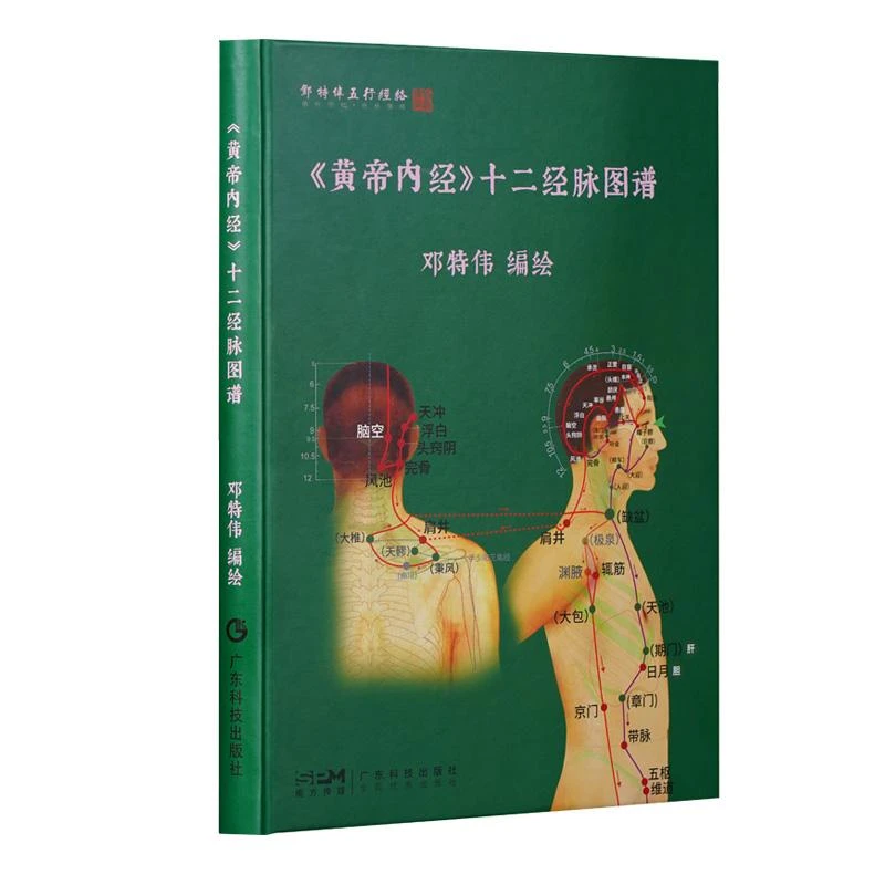 黄帝内经十二经脉图谱经络揭秘与应用养生法中医书籍时辰对应脏腑