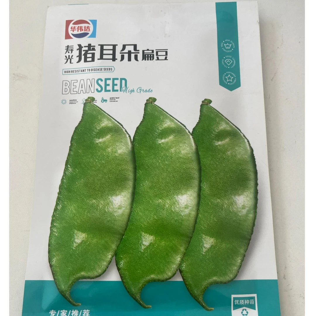 【寿光茂奎专属种植】寿光猪耳朵扁豆优质种子 品质好 纤维少 抗病
