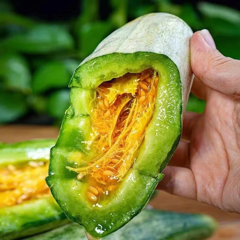 【蜜源羊角蜜】羊角蜜甜瓜香瓜蜜源十八