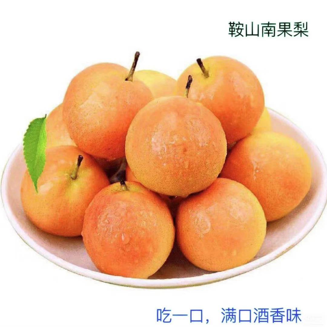 【南果梨】鞍山精选红脸南果梨